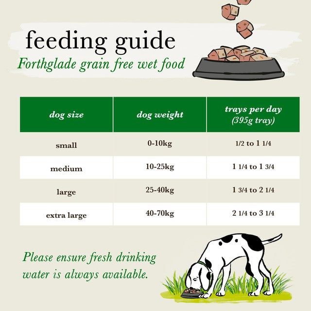 Forthglade wet dog food salmon with potato 395g - British product