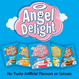 Angel Delight butterscotch instant dessert mix 59g - British product