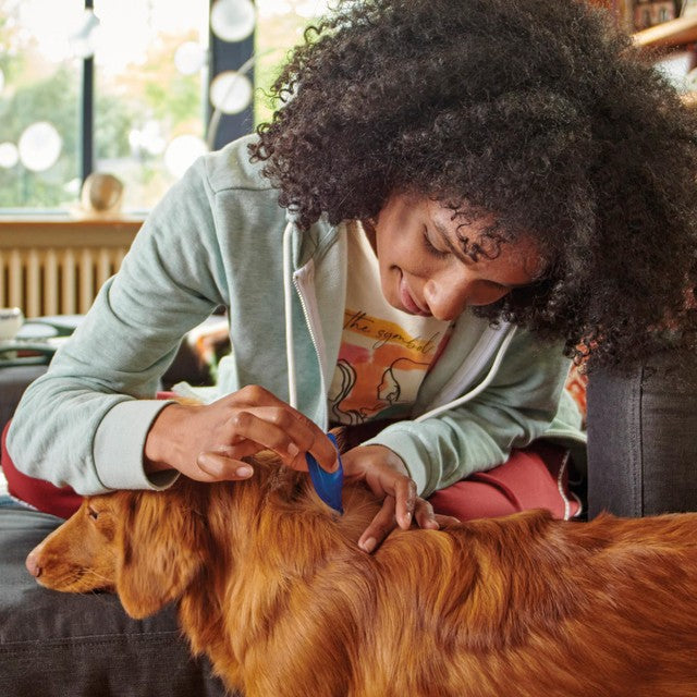 Beaphar FIPROtec spot-on flea treatment for large dogs, imported from the UK
