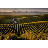Yealands Sauvignon Blanc white wine 75cl (British brand)