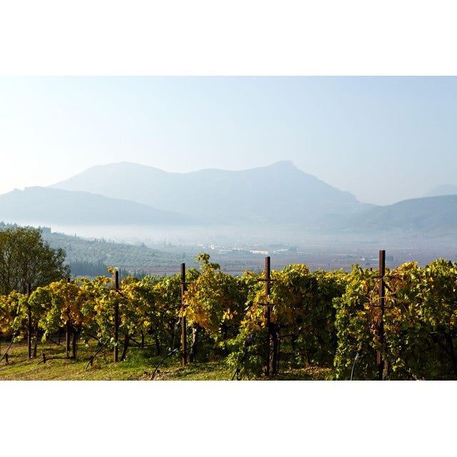 Gaia Assyrtiko white wine 75cl, UK version