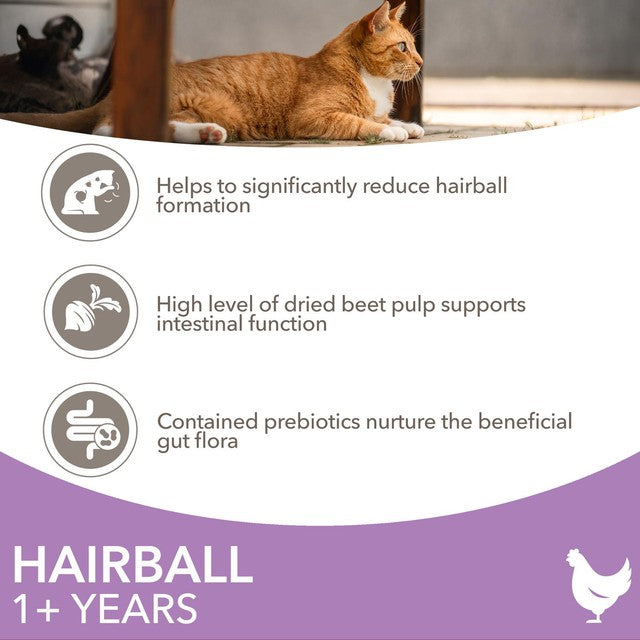 IAMS hairball dry cat food with chicken 3kg, UK version