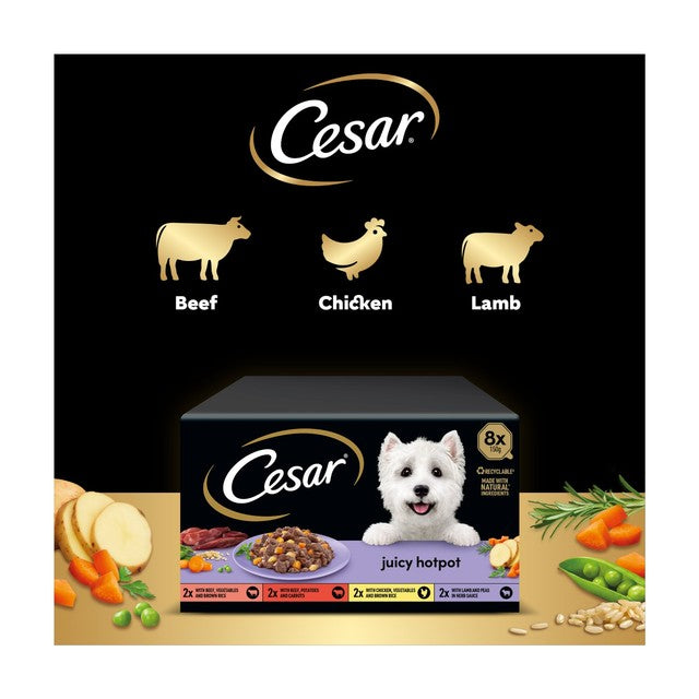 Cesar Juicy Hotpot dog food trays mixed gravy 8x150g - British product