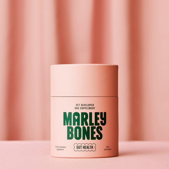 Marleybones gut supplement chew for dogs, imported from the UK