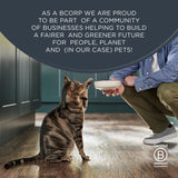 Encore kitten jelly food with tuna and chicken 5x50g - British product