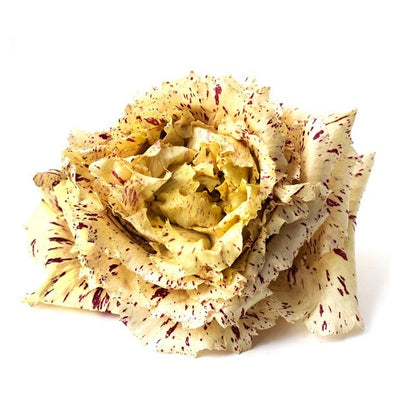 Natoora Radicchio Castelfranco Chicorien-Gemüse