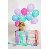 Adios compostable dog poo bags Rainbow - British product