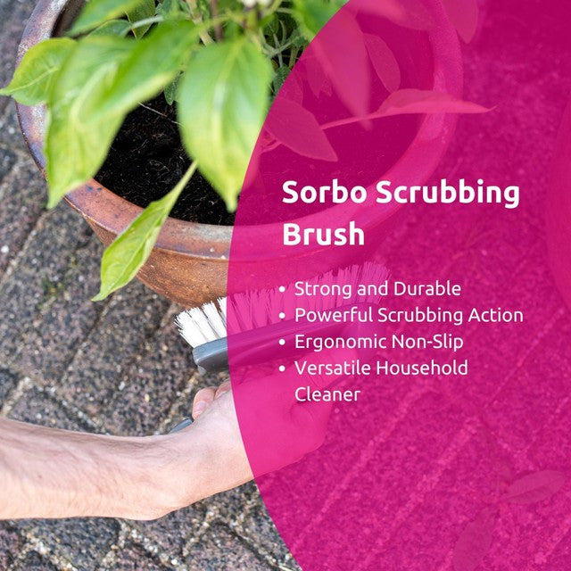 Sorbo Scrub Brush household scrubbing brush (British brand)