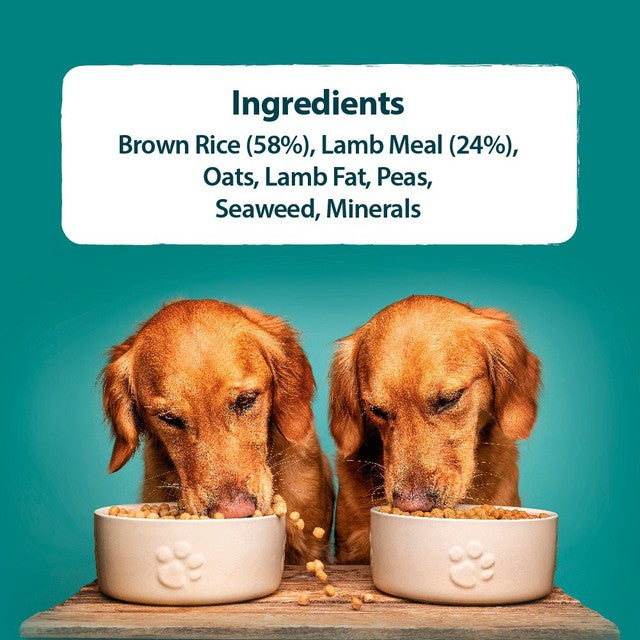 Burns lamb and brown rice dry dog food 12kg - British product