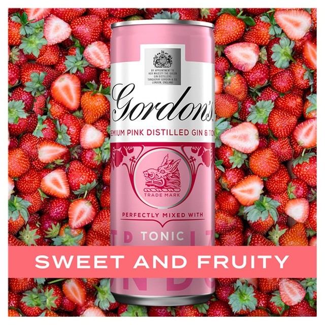 Gordon's Pink Gin & Tonic, 250-ml-Dose, britische Version