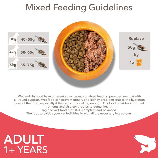 IAMS Adult Dry Cat Food Salmon 3kg, UK version