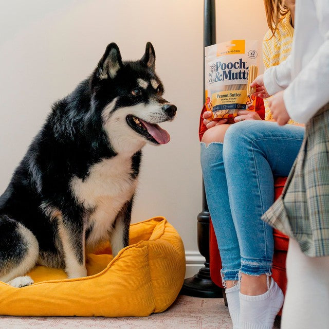 Pooch & Mutt peanut butter dental sticks, imported from the UK