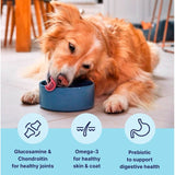 Tails dog food for medium and large dogs chicken 2kg (British brand)