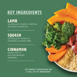 Lily's Kitchen Lamb Tagine wet dog food tray 150g, UK version