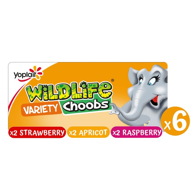 Wildlife Choobs mixed fruit yoghurt tubes (British brand)
