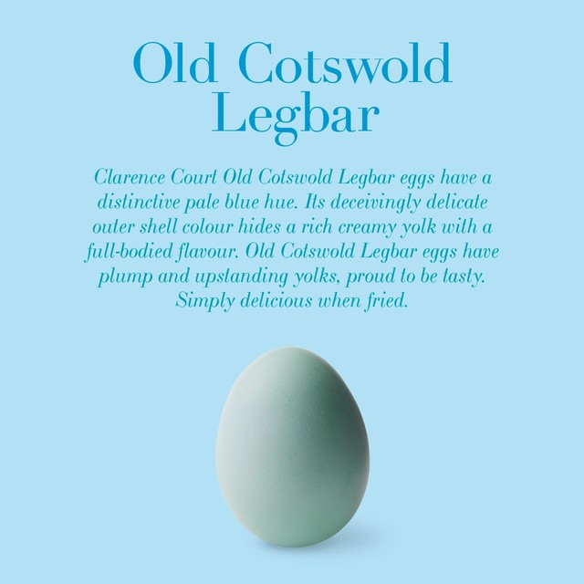 Clarence Court Cotswold Legbar eggs 6 pack - British product