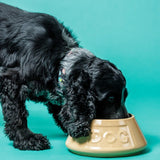 Mason Cash lettered dog bowl 21cm, imported from the UK