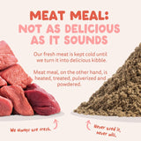Edgard & Cooper Senior grain-free dry dog food chicken salmon, UK version