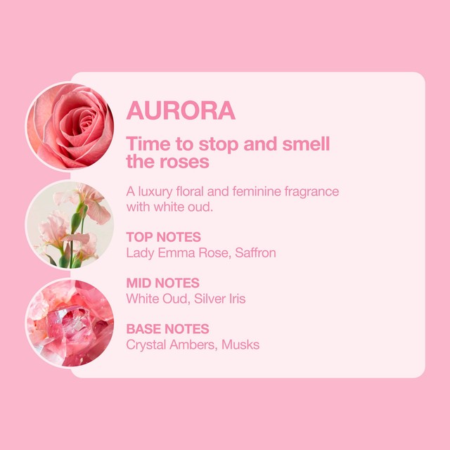 Tallow + Ash Aurora laundry shampoo bottle, UK version