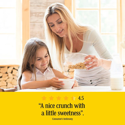 Nestle Cheerios Honey Multigrain Frühstückscerealien 575 g