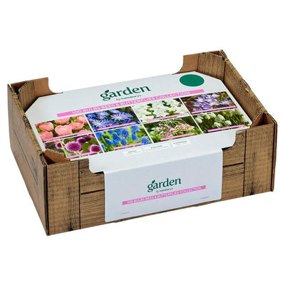 Sainsburys Sainsburys Bees Butterflies Collection- اشترِ عبر الإنترنت من McGrocer