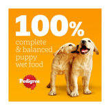 Pedigree puppy wet dog food pouches mixed in jelly 12x100g, imported from the UK