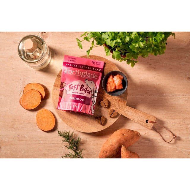 Forthglade dog treats with salmon 90g - British product