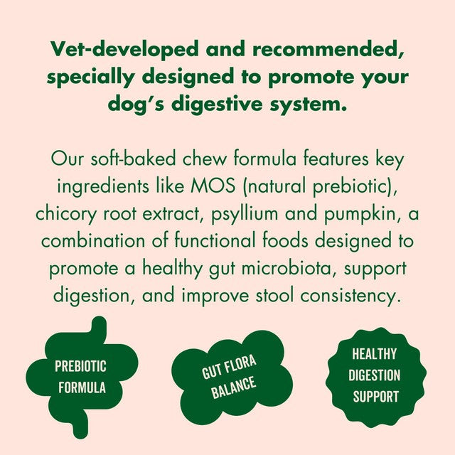 Marleybones gut supplement chew for dogs, imported from the UK