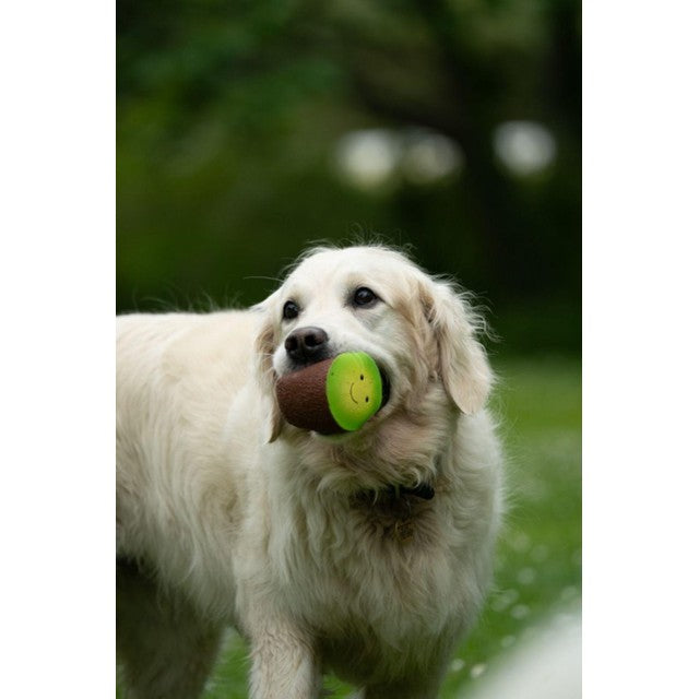 Petface Foodie Faces Kiwi latex dog toy large (British brand)