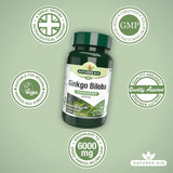 Natures Aid Ginkgo Biloba supplement tablets 90 tablets, imported from the UK
