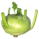 Natoora kohlrabi fresh vegetable 400g, imported from the UK