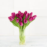 Sainsburys Speciality Tulips