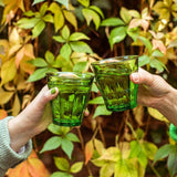 Duralex Picardie Jungle Green Tumbler Set 250ml - French product