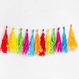 Talking Tables rainbow tassels garland 1.5m (British brand)