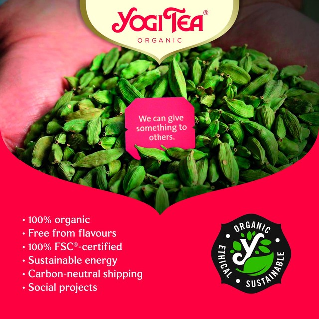 Yogi Tea Herbal Tea Women's Energy 17 bags (British brand)