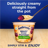Ambrosia porridge pot apple and blueberry layer 210g - British product
