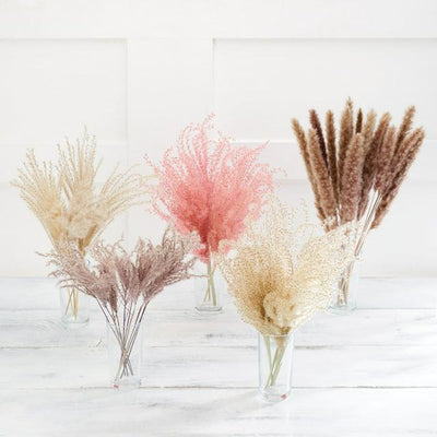 Sainsburys Dried Flowers Long Lasting- Buy online at McGrocer
