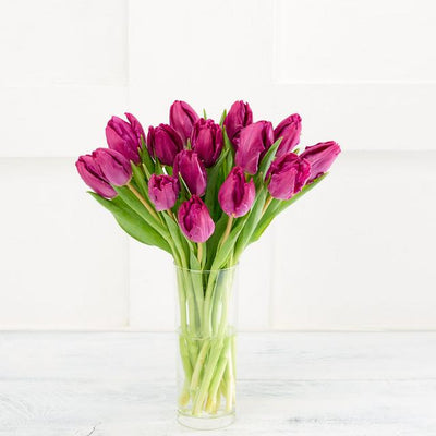 Sainsburys Sainsburys Tulipes Spéciales - Acheter en ligne sur McGrocer