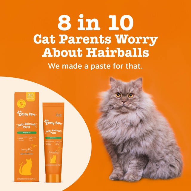 Zesty Paws anti-hairball paste for cats (British brand)