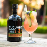 English Drinks Company cucumber gin 70cl - British product