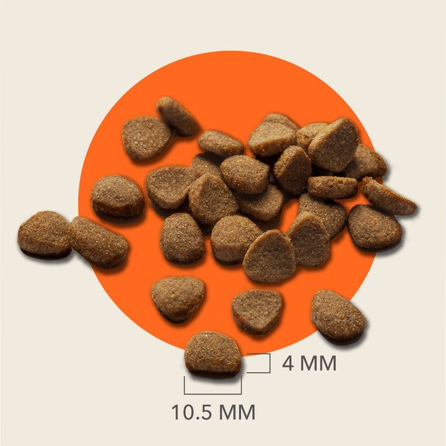 IAMS senior dry cat food tuna - British product