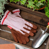 Burgon & Ball blush stripe gardening gloves, UK version