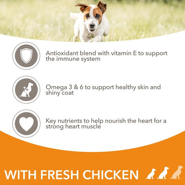 IAMS Advanced Nutrition dog food for small and medium breeds, UK version