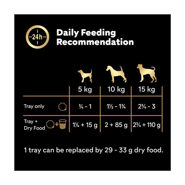 Cesar mixed flavour wet dog food trays 8 x 150g - British product