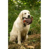 Petface Salina Squirrel plush dog toy, imported from the UK