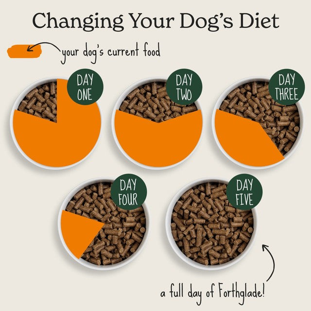 Forthglade dog food chicken with sweet potato 2kg - British product