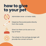 Seraquin Digest Paste for cats and dogs - British product