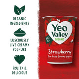 Yeo Valley Strawberry Yoghurt 450g (British brand)