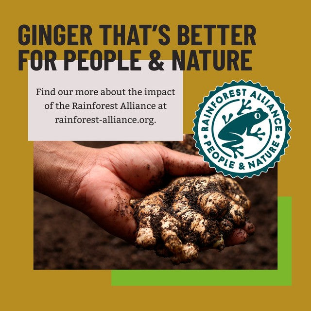 Bart Ground Ginger 35g - British product