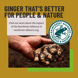 Bart Ground Ginger 35g - British product